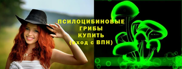 сатива Алзамай