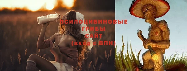 сатива Алзамай