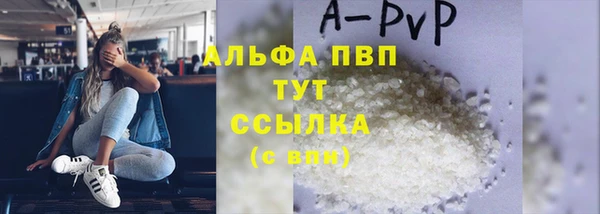сатива Алзамай
